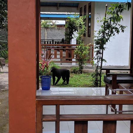 Tangkoko Macaca Hotel Rinondoran Bagian luar foto
